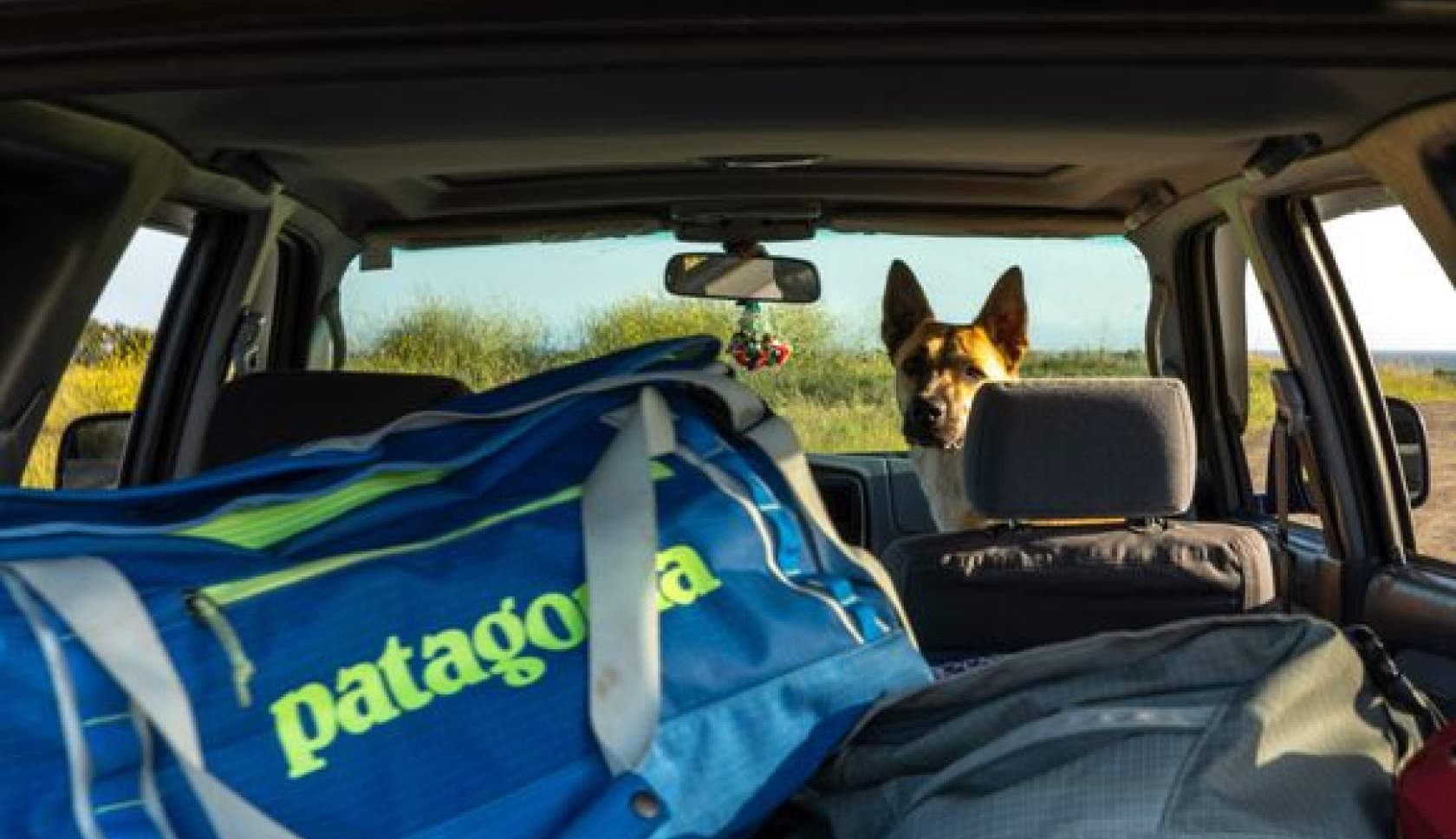 A dog in a car with a Patagonia duffel bag 