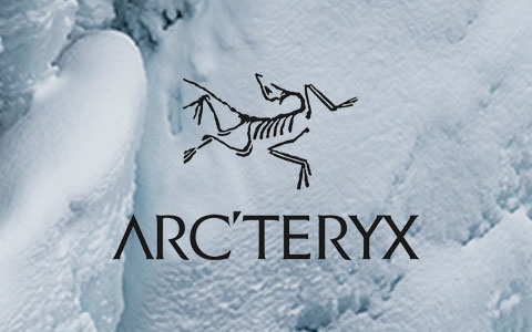 Lots of snow with Arc'teryx brand logo in the middle