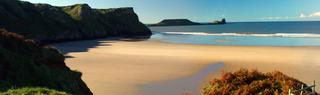 Sunny Coastal Picture