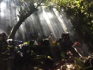 Jungle expedition trip