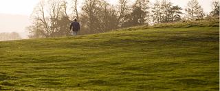 Man walking in a field