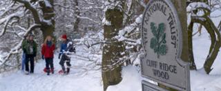 National Trust sign - Cliff Ridge Wood