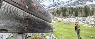A wooden signpost with a man walking
