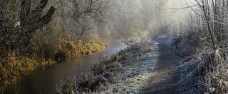 Forest in Winter with riverside trail