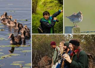 birdwatchingforbeginners2