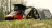 Tent_Awning_4 - 1