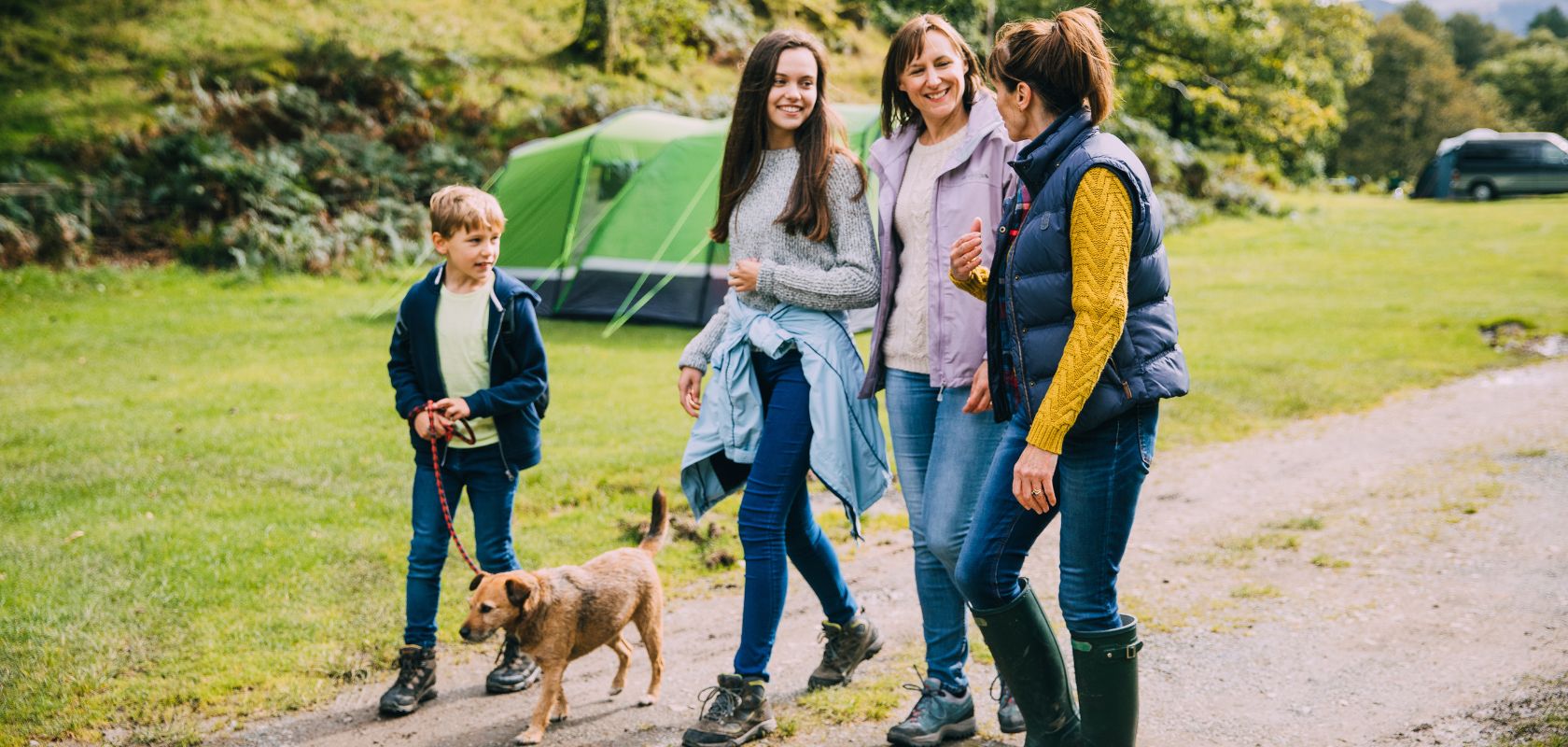 Our Top Tips For Camping With Dogs