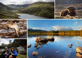 expertguidecairngorms
