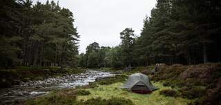 expertguidecairngorms6