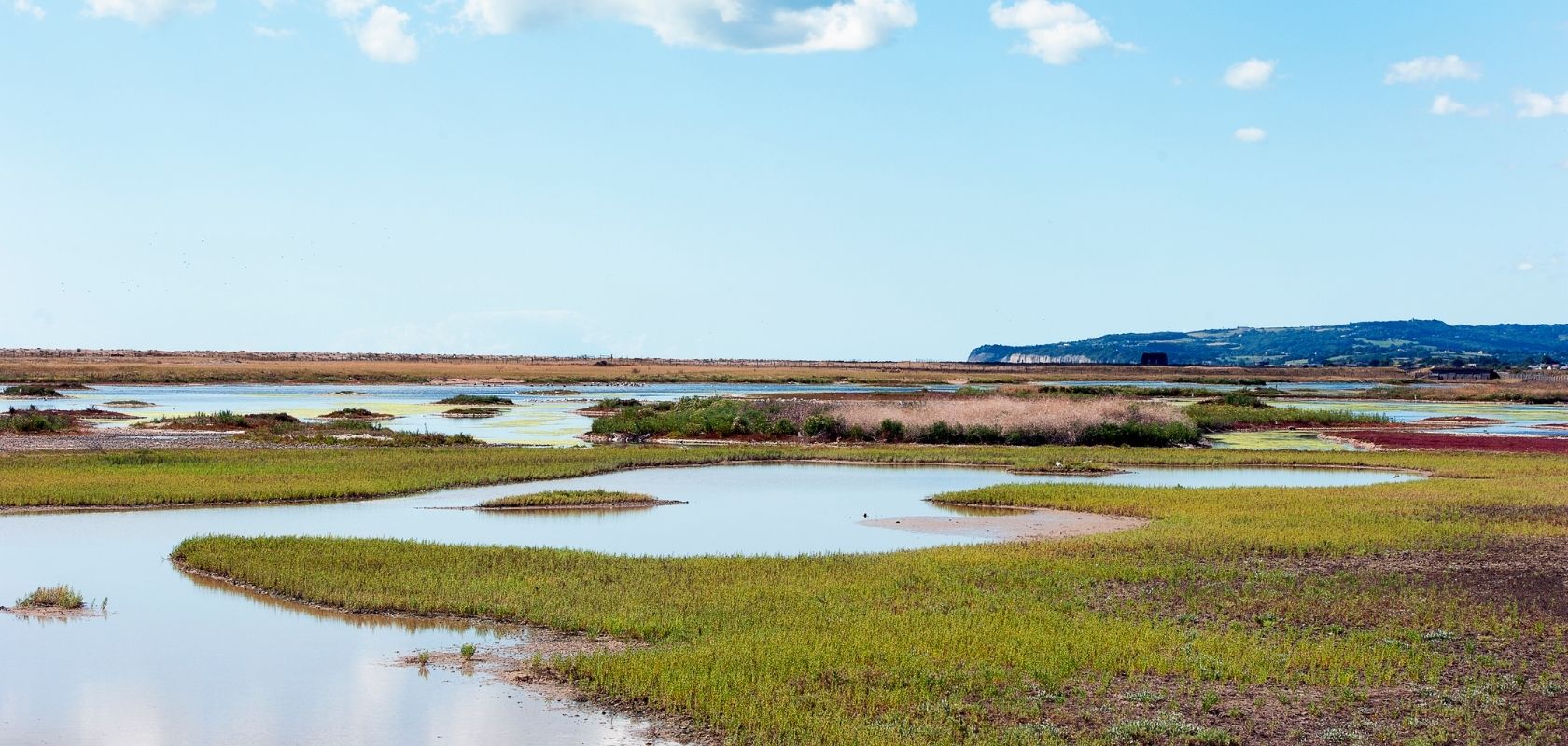 The green wetlands of the UK in the sunshine 