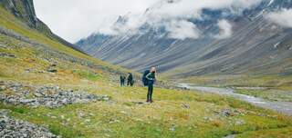 fjallravenway