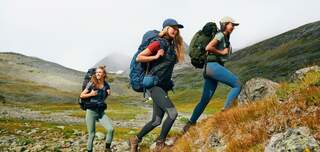 fjallravenway4