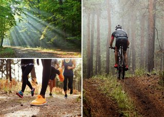 getforestfit2