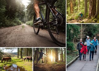 getforestfit3