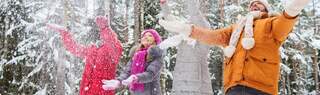 gogreenthischristmashero