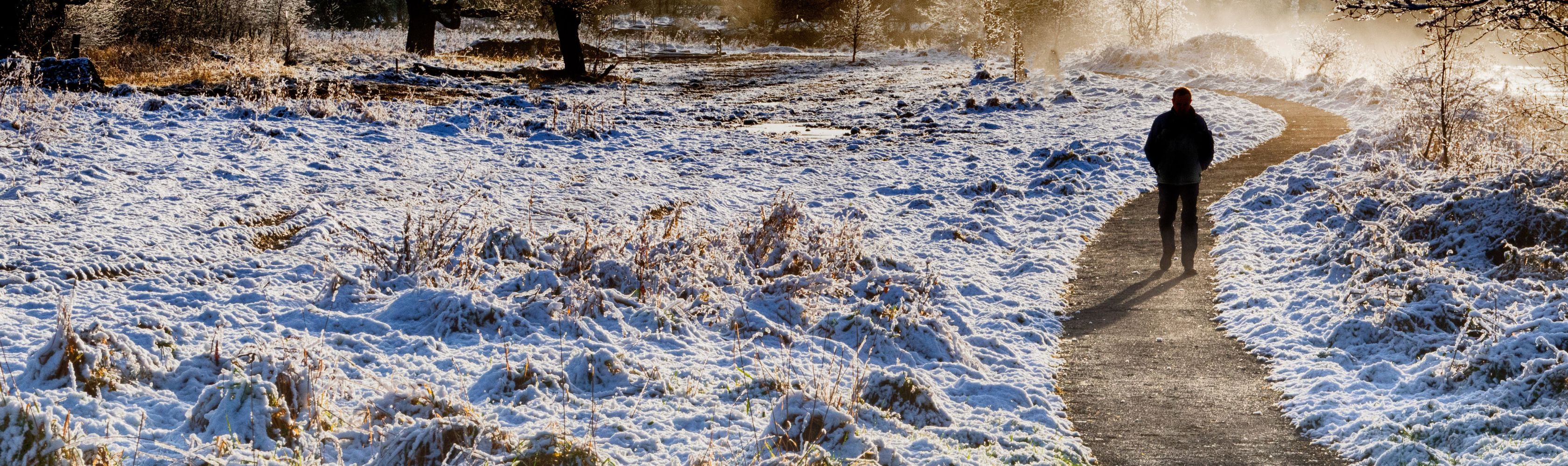 A person walking along path in a snow-covered park