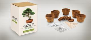 Bonsai tree diy kit