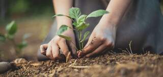 sustainabilitycredentials4