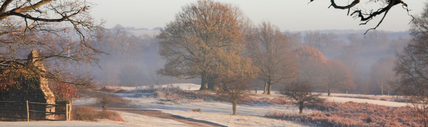 Our Favourite UK Winter Walks
