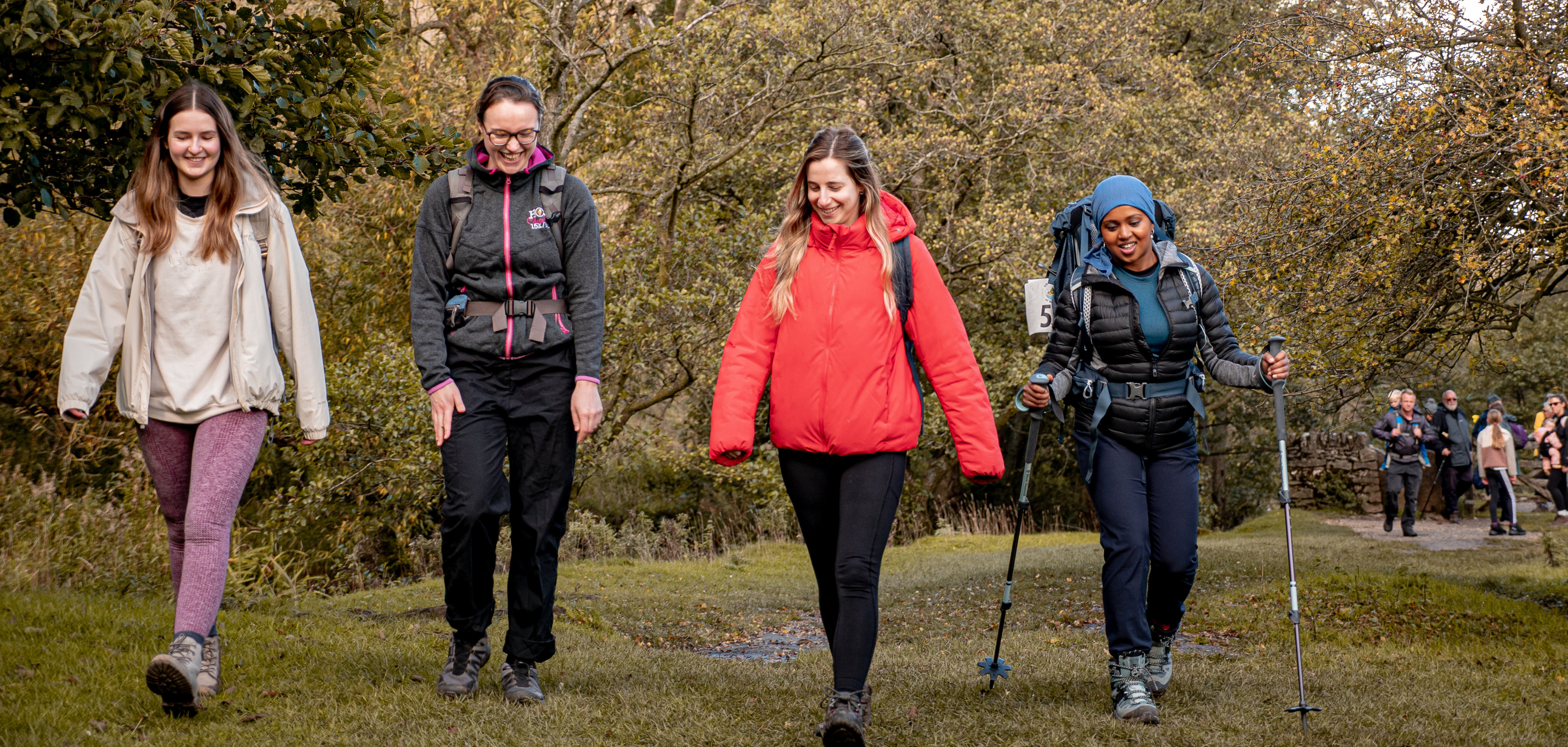 Four people walking through a woodland area