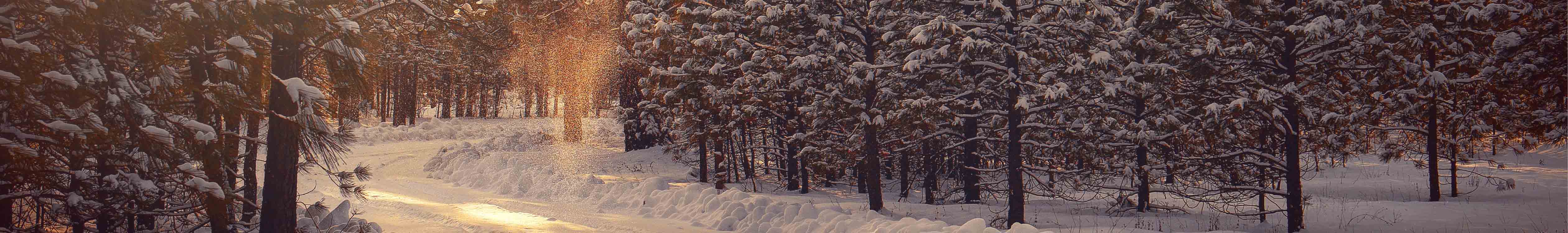 Tips on the best clothes and acceesories to help keep you warm during winter hiking