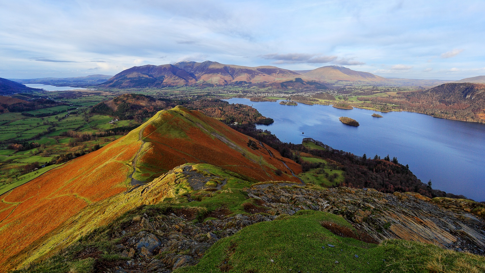 cat bells
