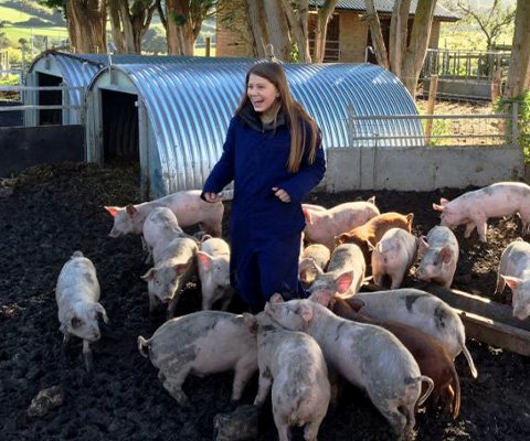 A girl is surrounded by little pigs, eating their food