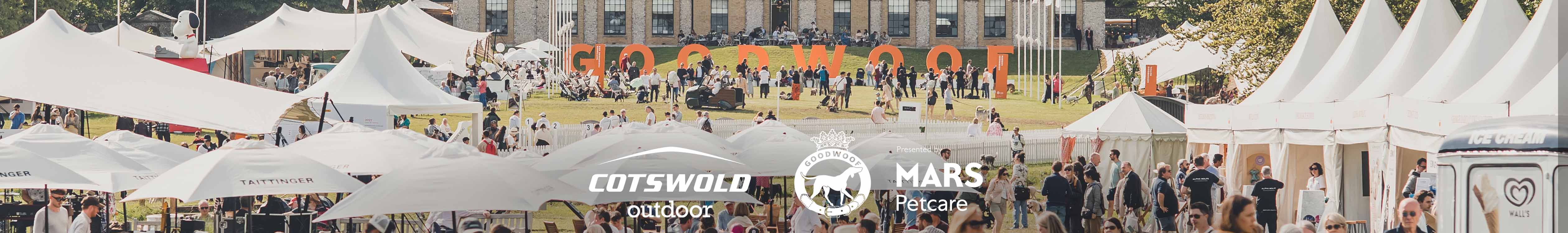 People are enjoying lovely summer weather with dogs on a Goodwoof event