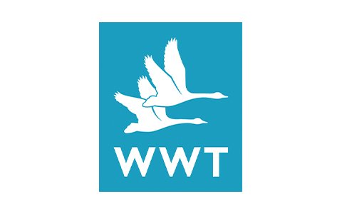 Youth Hostel Association Logo