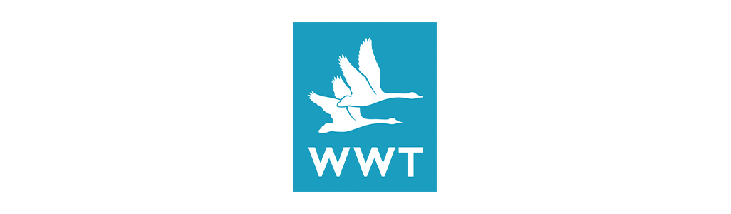 Youth Hostel Association Logo