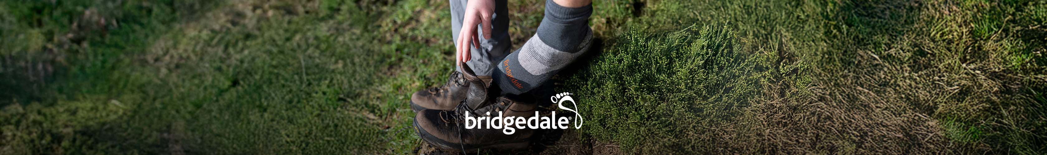 bridgedale