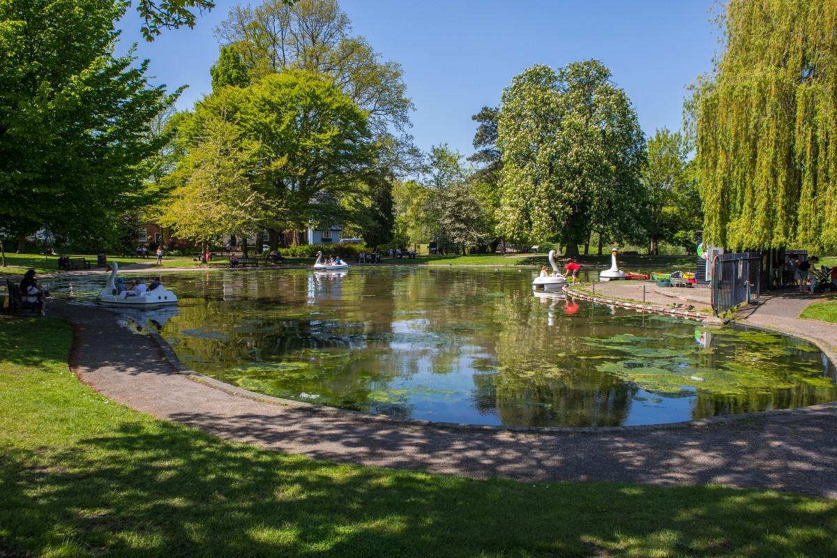 A lake in Colchester castle park gardens 