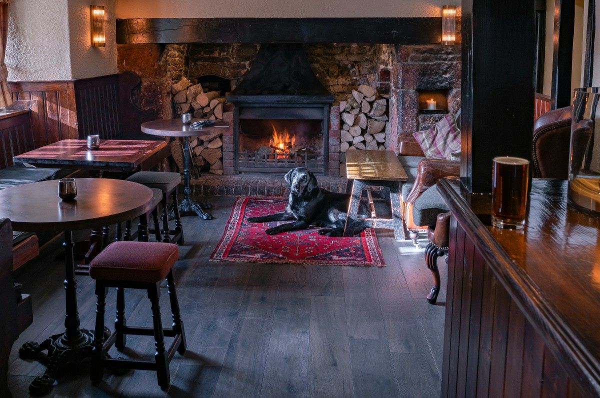 A dog in a pub in Cornwall by the fireplace 