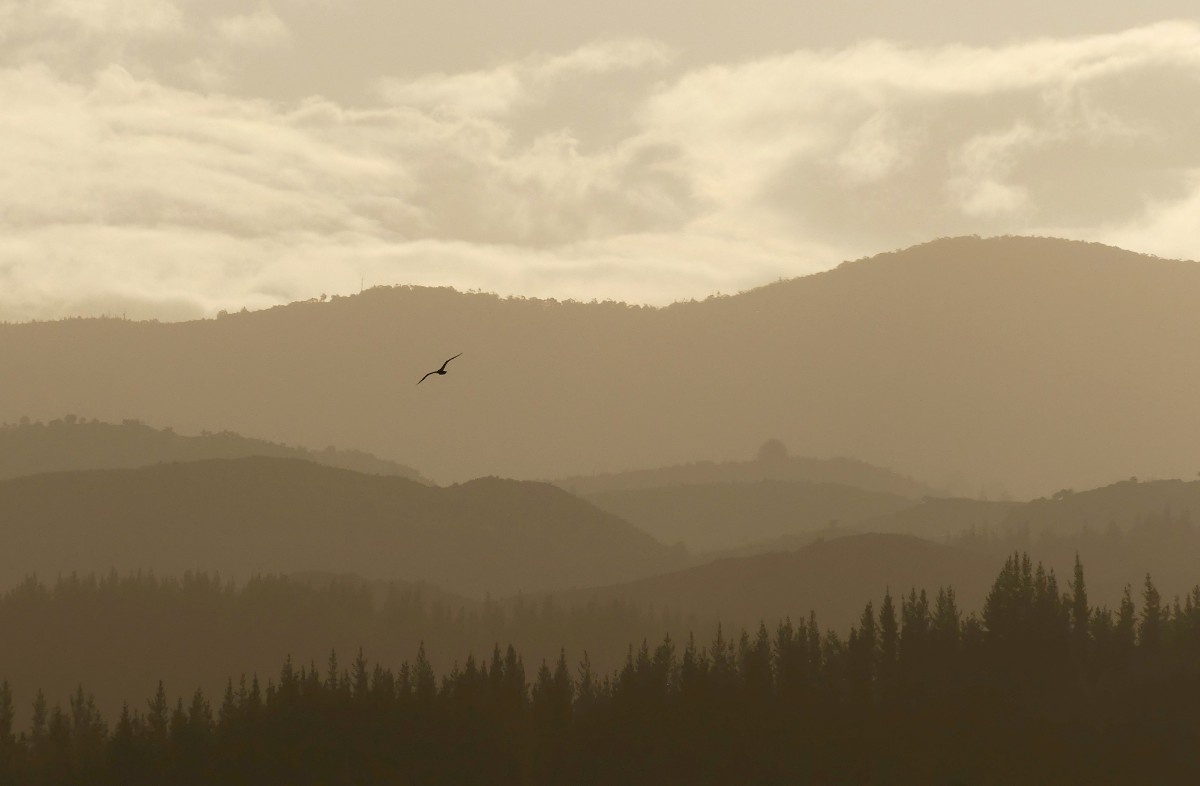 An image of Abel Tasman National Park 