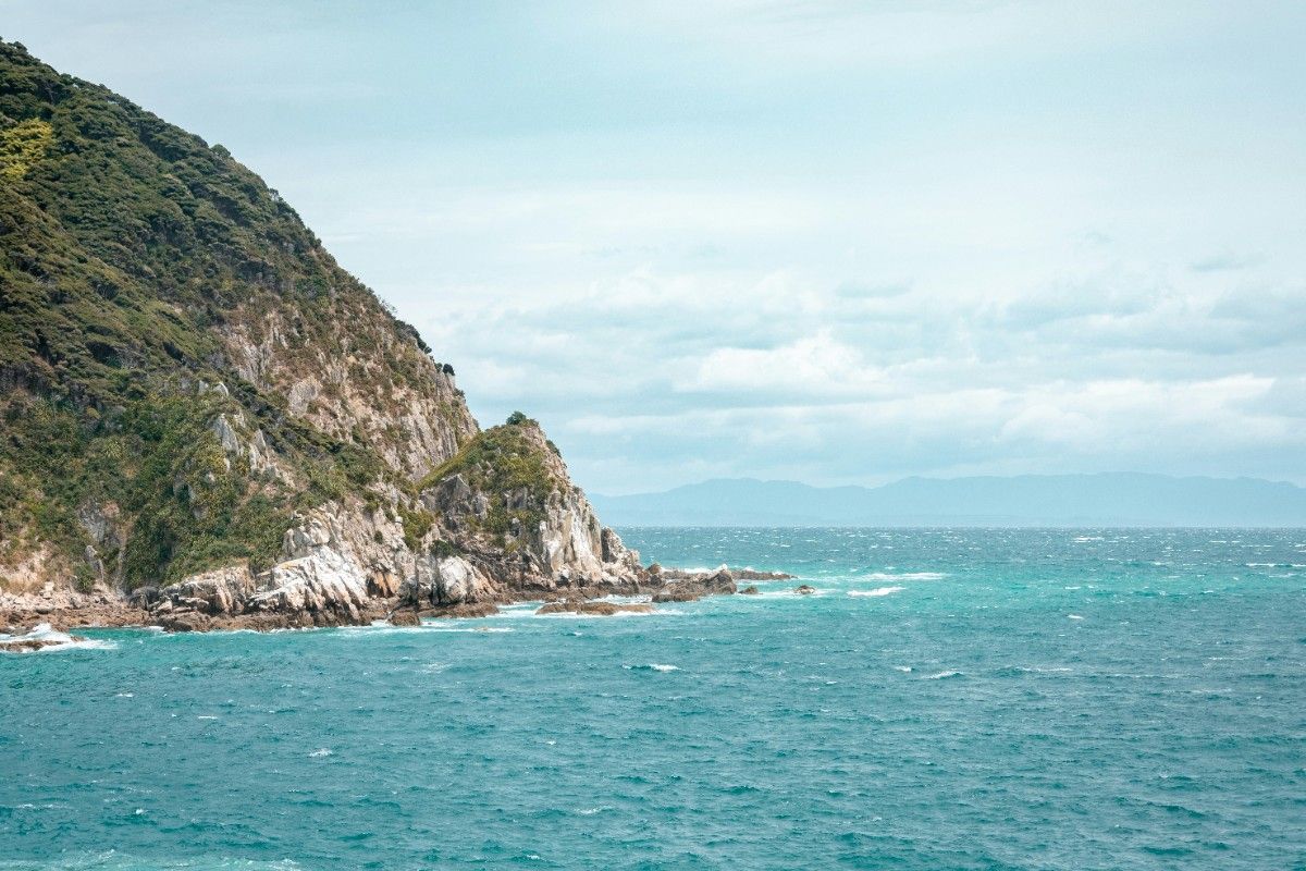 A green cliff on the edge of Abel Tasman National Park by the sea 
