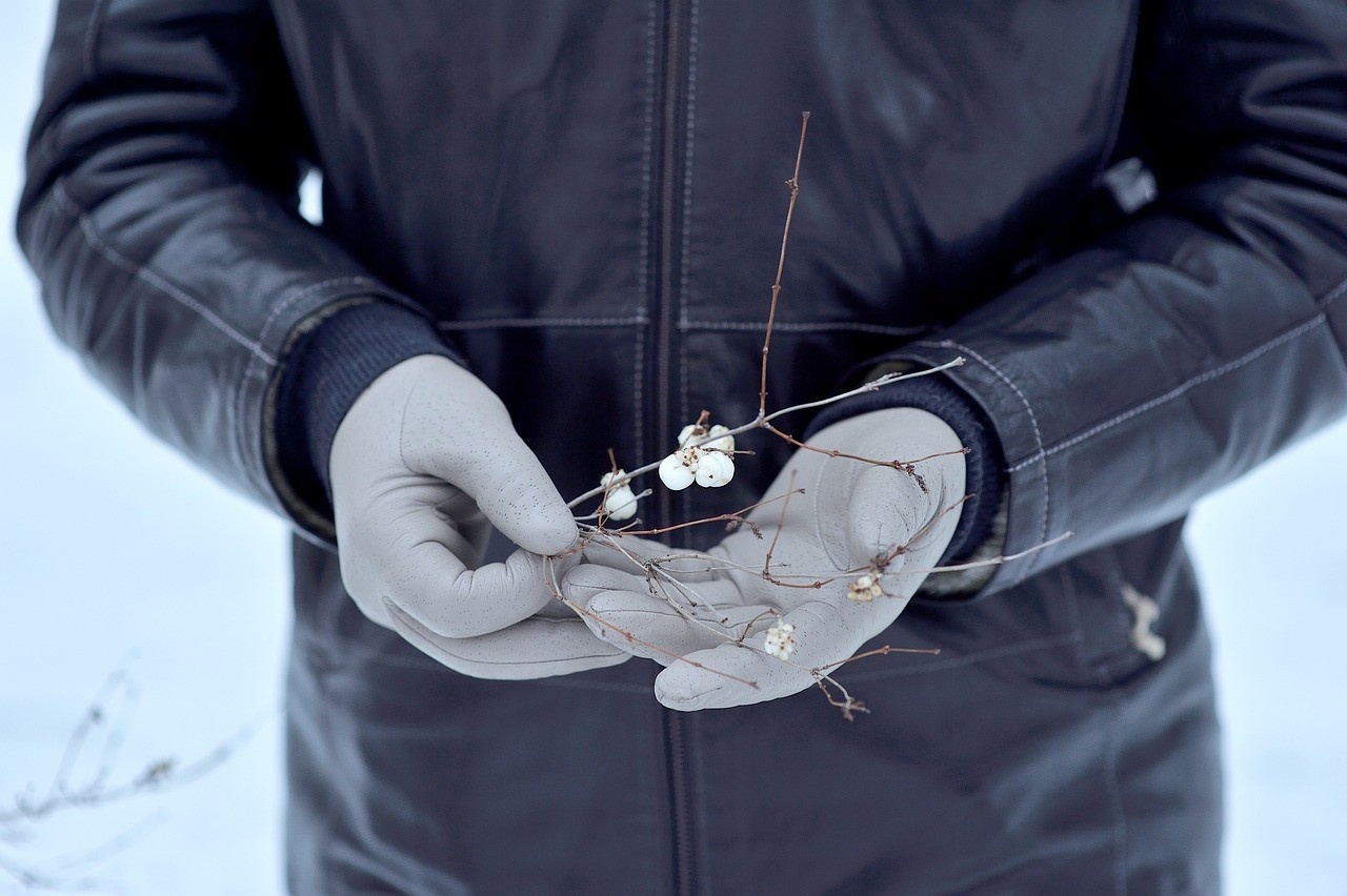 A man holding some berries in his hands which are gloved