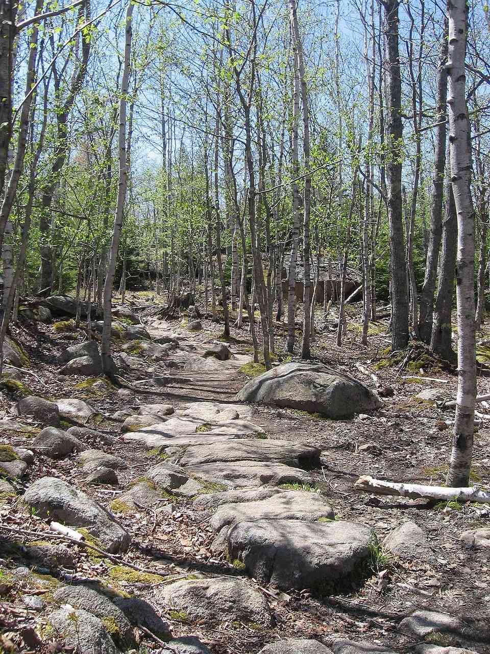 Acadia National Park 