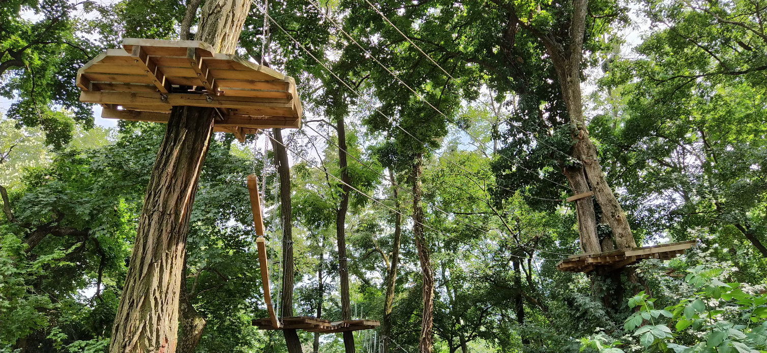 Go Ape