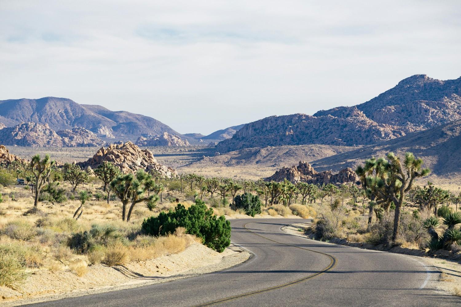 Joshua Tree National Park