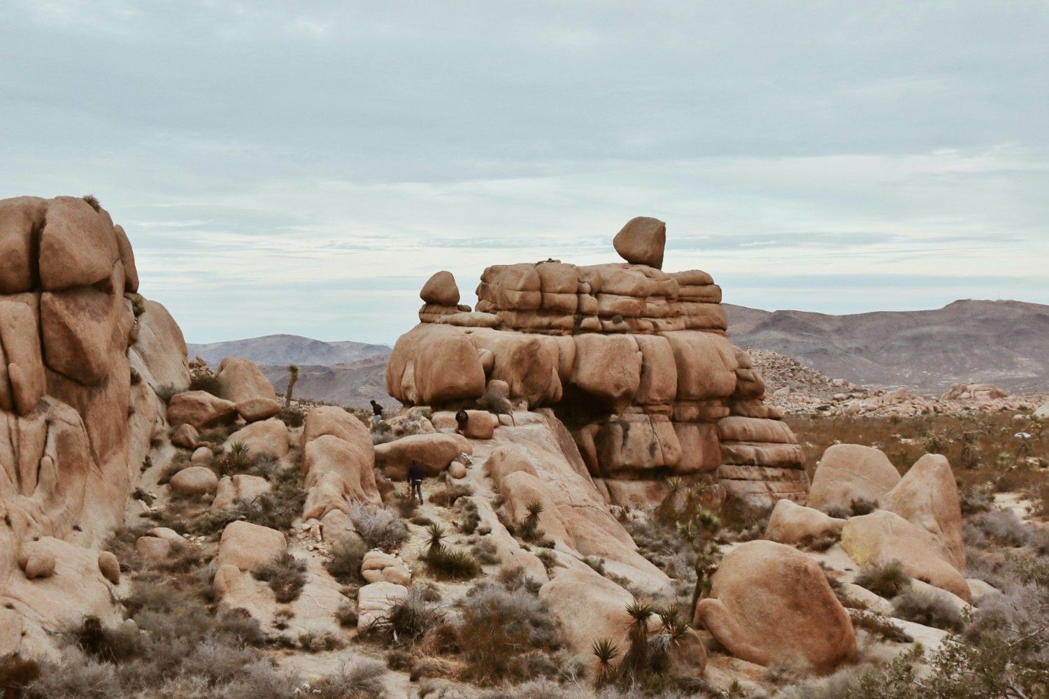 Joshua Tree National Park
