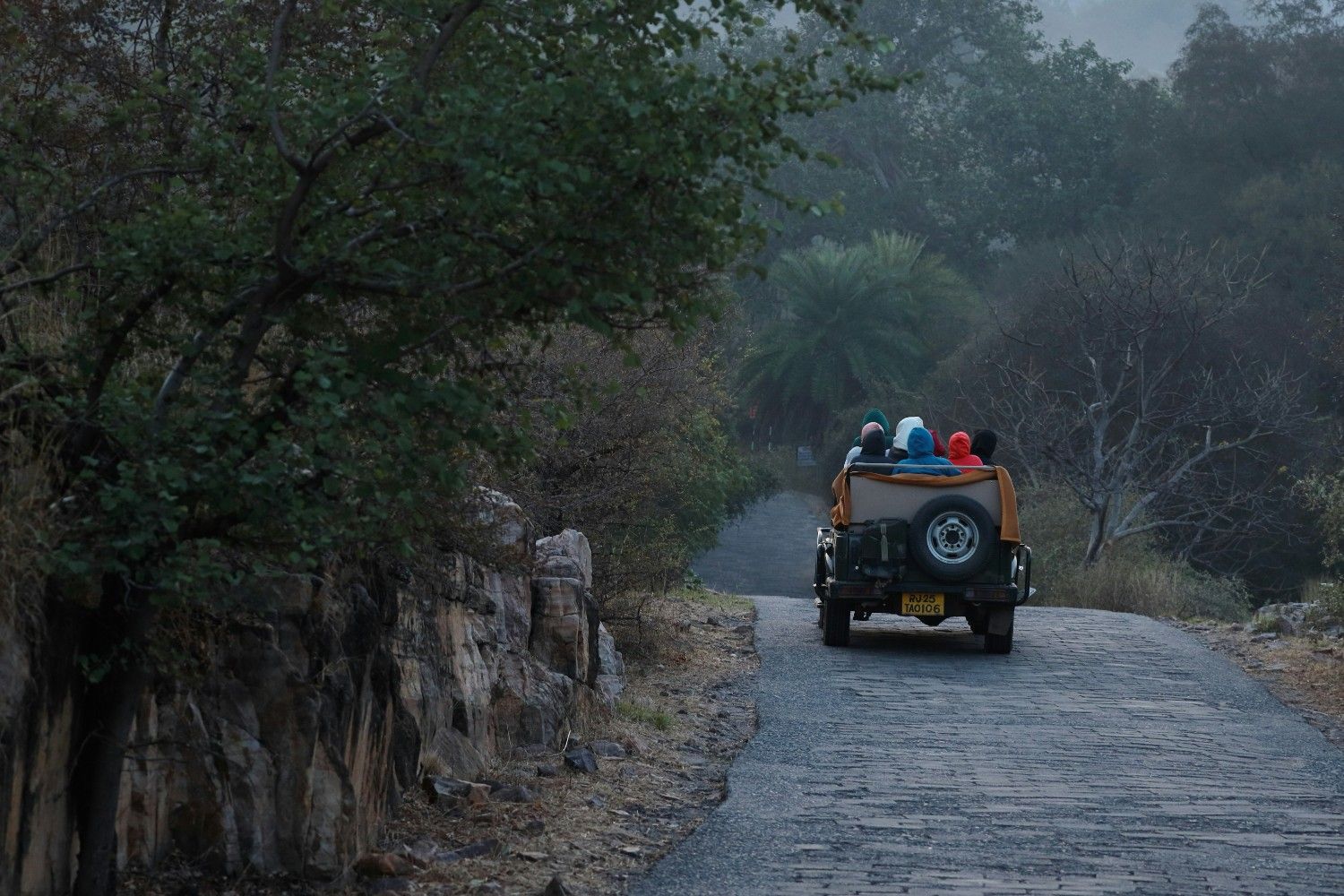 Safaris 
