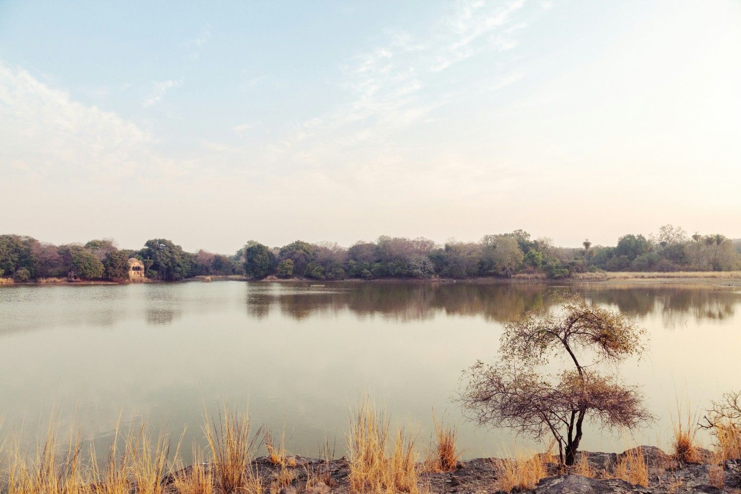 Ranthambore National Park