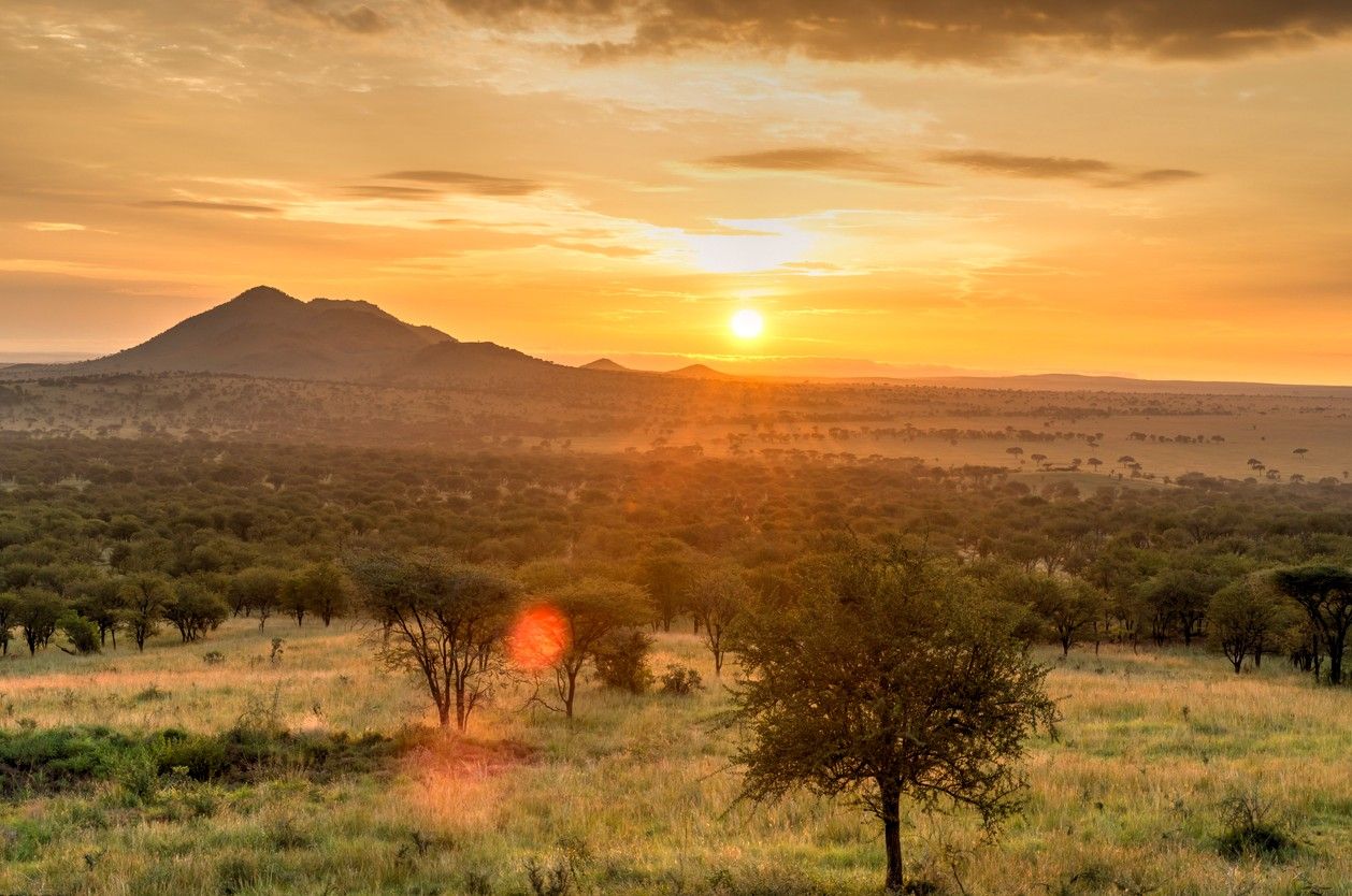 Serengeti National Park