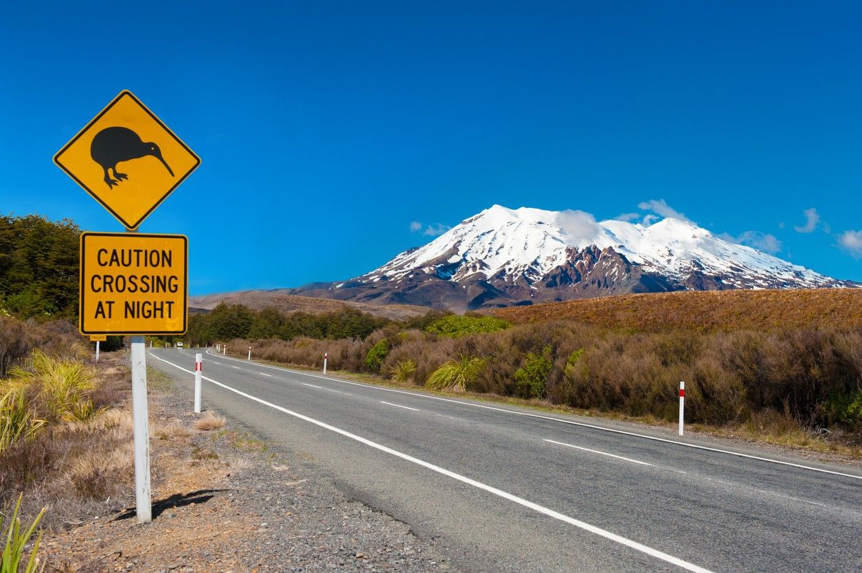 Tongariro National Park