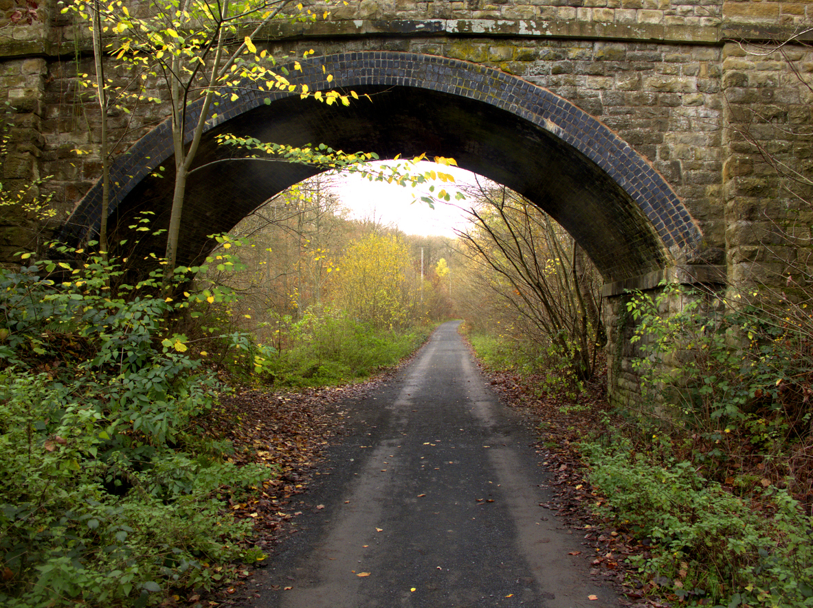 Wyre Forest